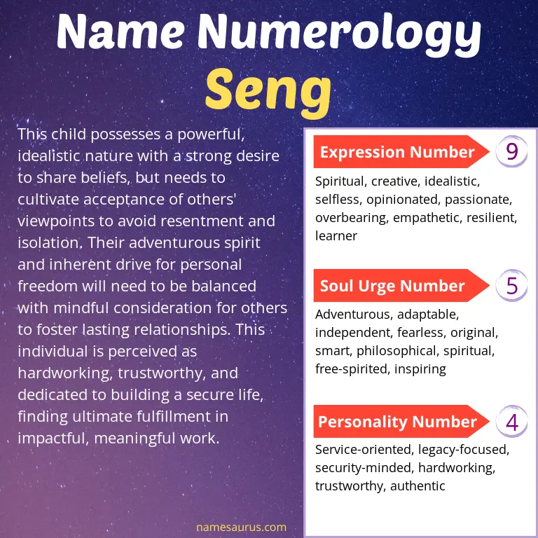 numerology of the name seng.