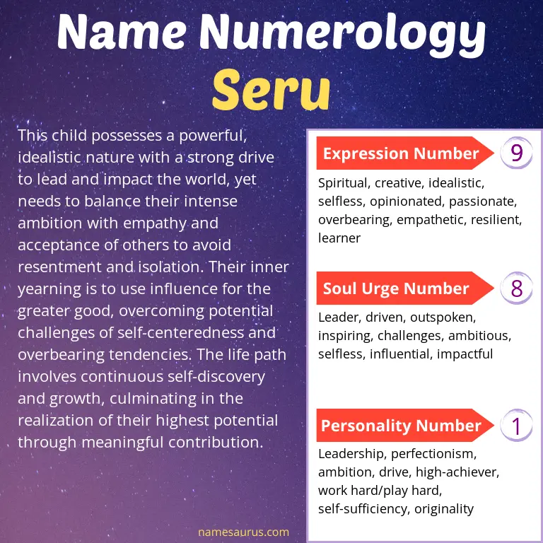 numerology of the name seru.
