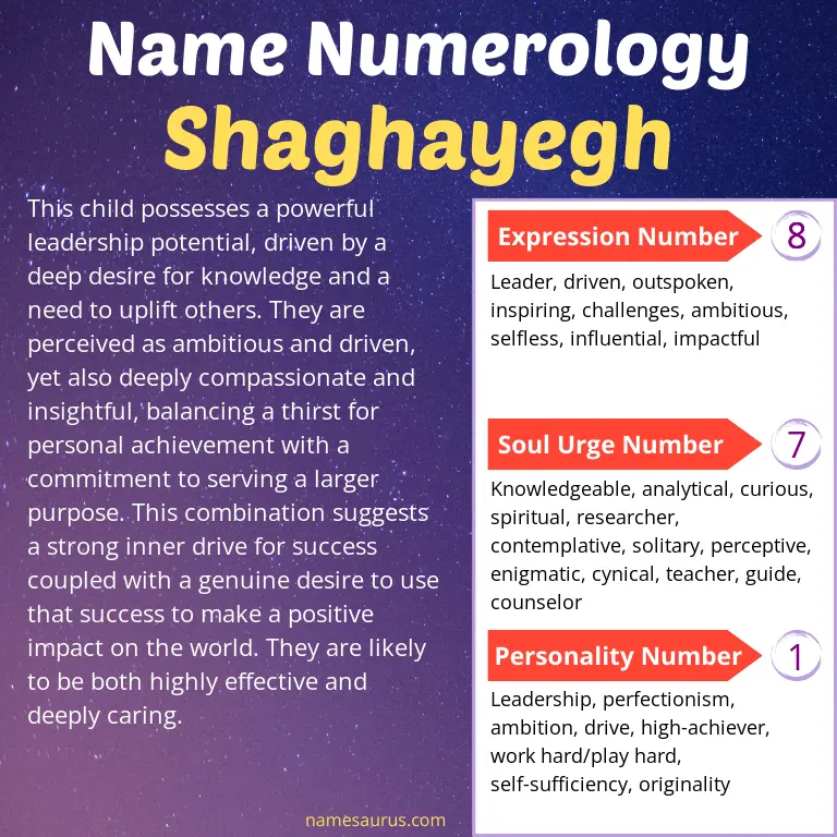 numerology of the name shaghayegh.