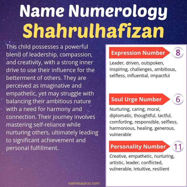 numerology of the name shahrulhafizan.