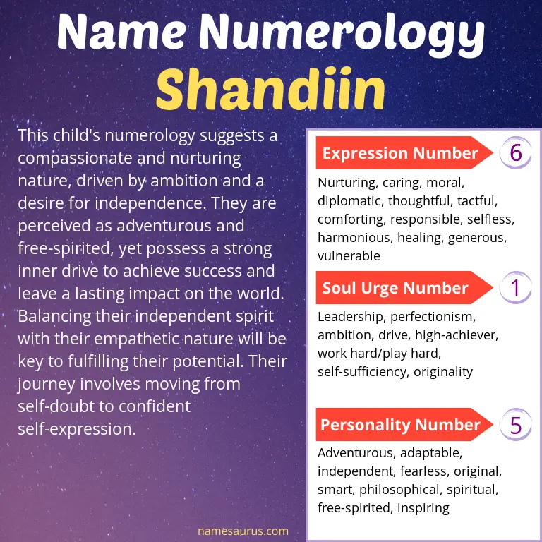 numerology of the name shandiin.