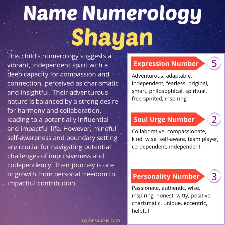 numerology of the name shayan.