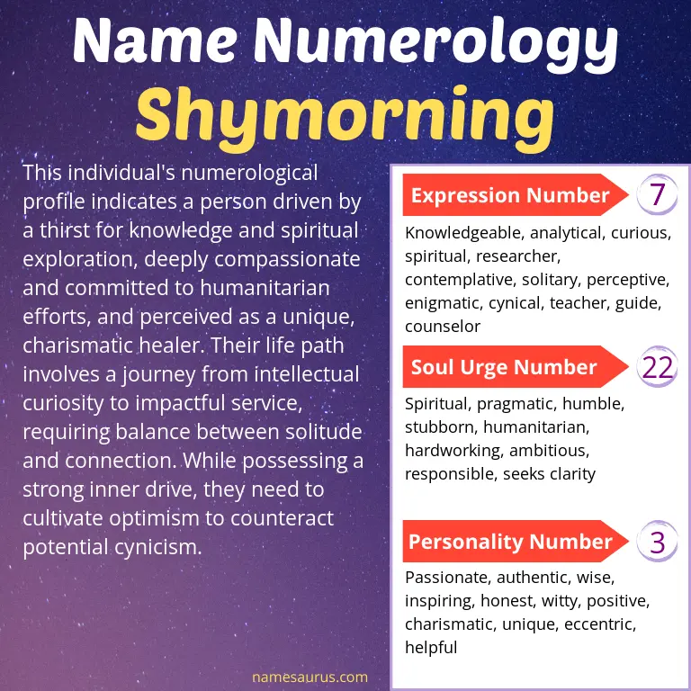 numerology of the name shymorning.