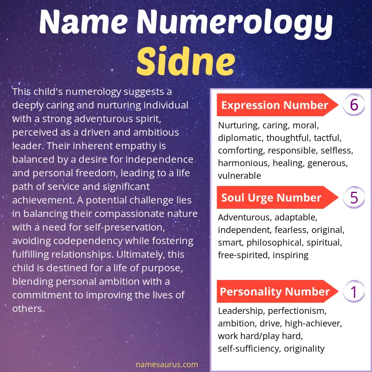 numerology of the name sidne.