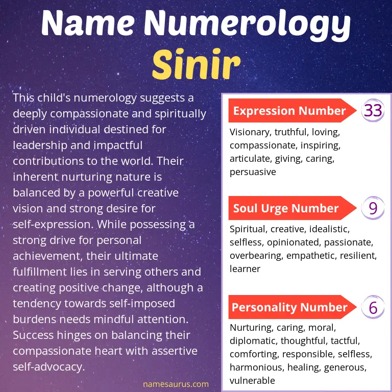numerology of the name sinir.