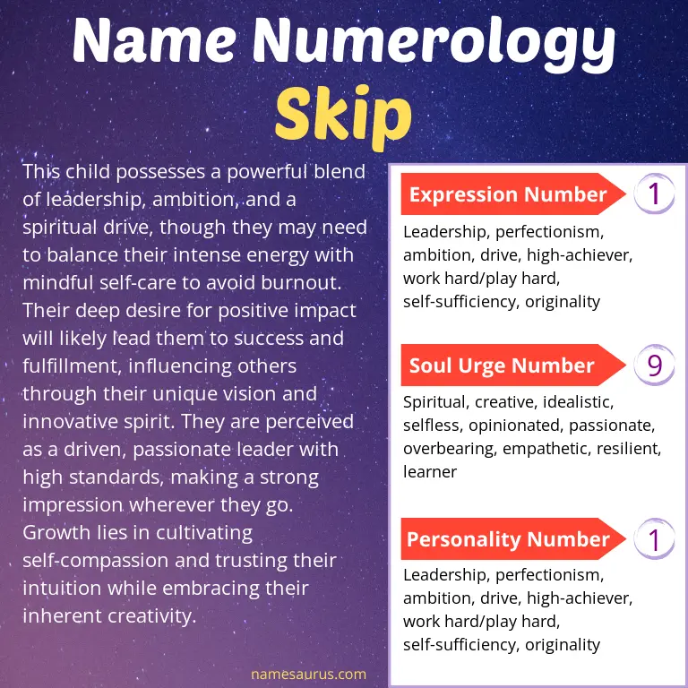 numerology of the name skip.