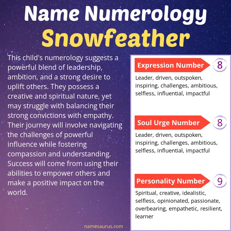 numerology of the name snowfeather.