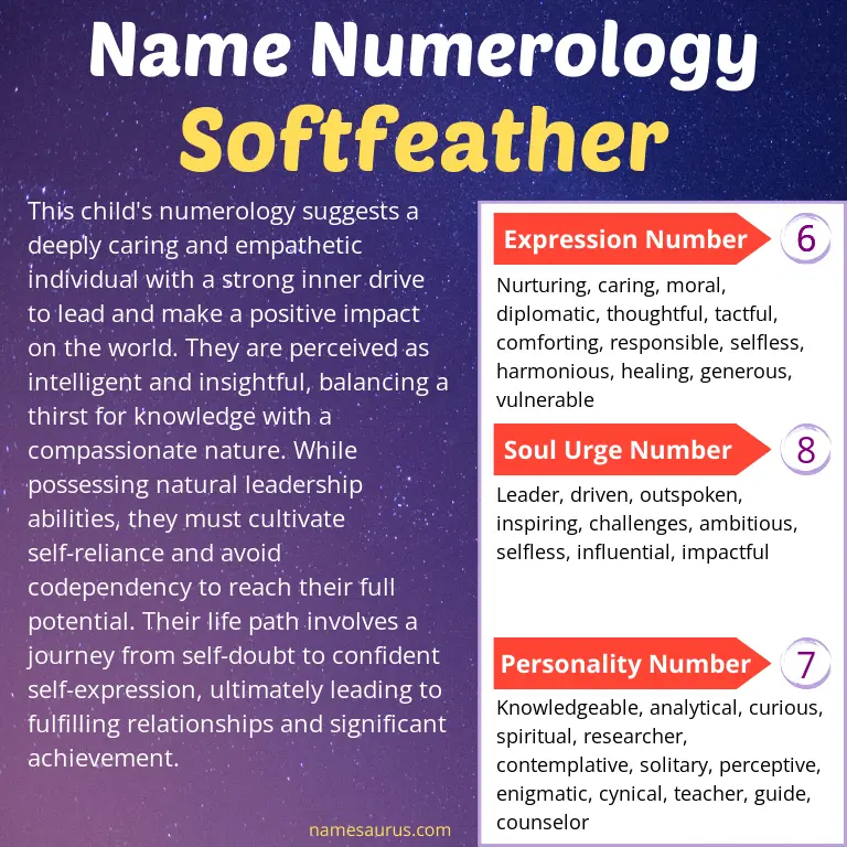 numerology of the name softfeather.