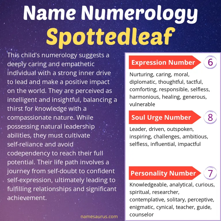 numerology of the name spottedleaf.