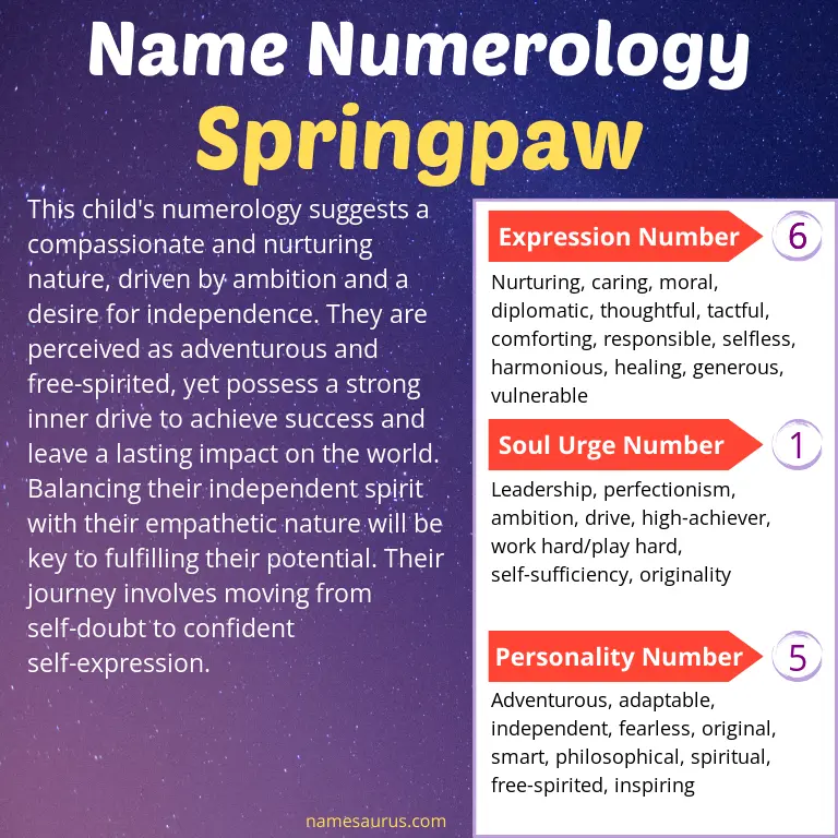 numerology of the name springpaw.