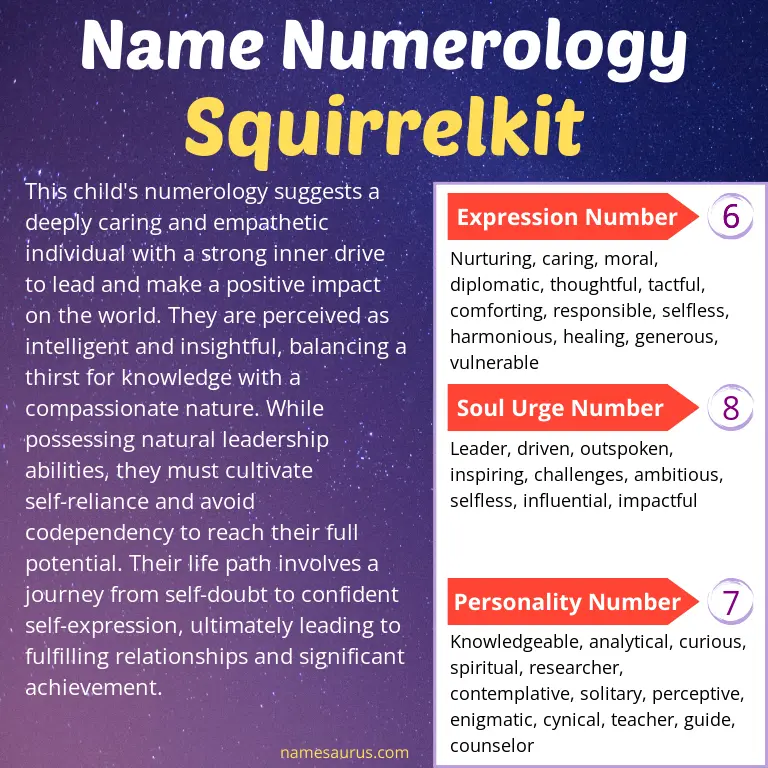 numerology of the name squirrelkit.