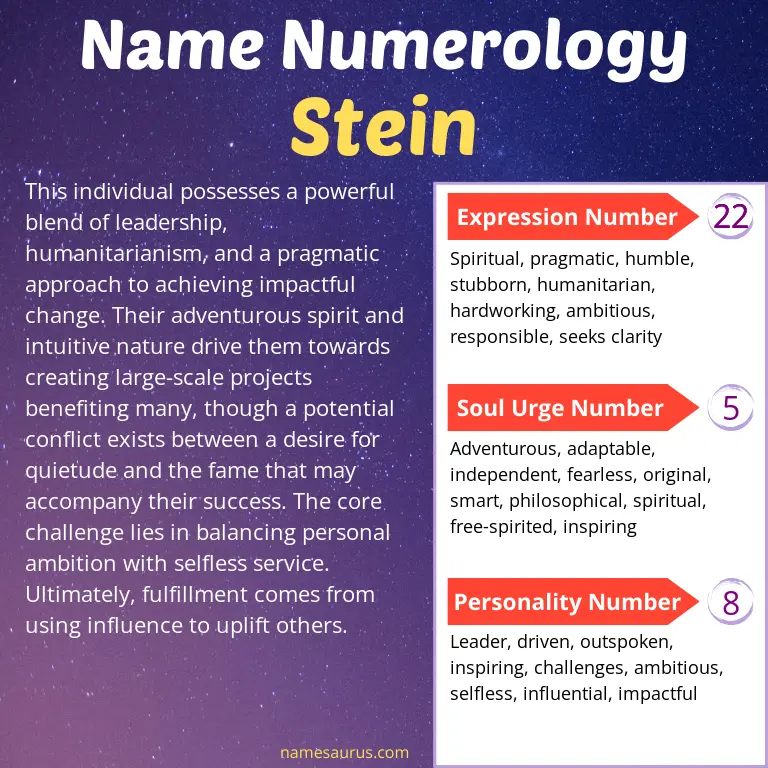 numerology of the name stein.