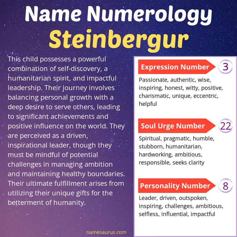 numerology of the name steinbergur.