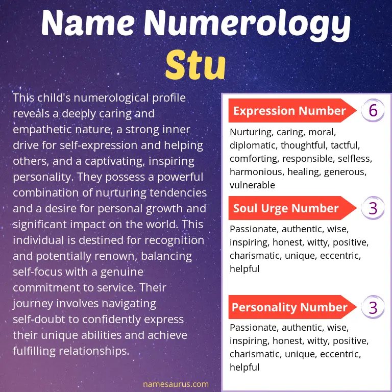 numerology of the name stu.
