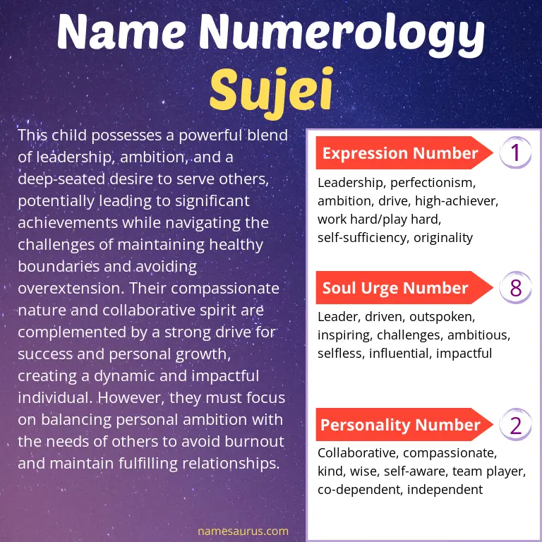 numerology of the name sujei.
