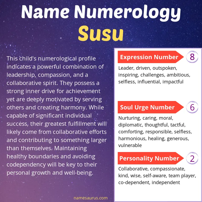 numerology of the name susu.