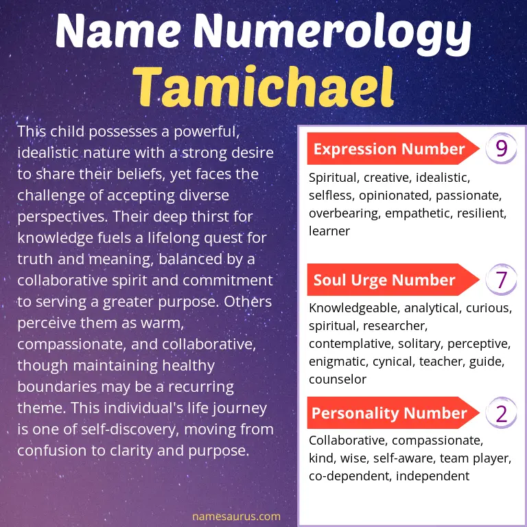 numerology of the name tamichael.