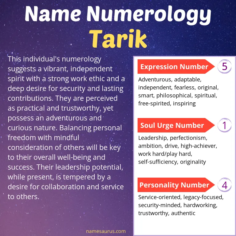 numerology of the name tarik.