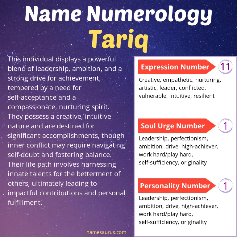 numerology of the name tariq.