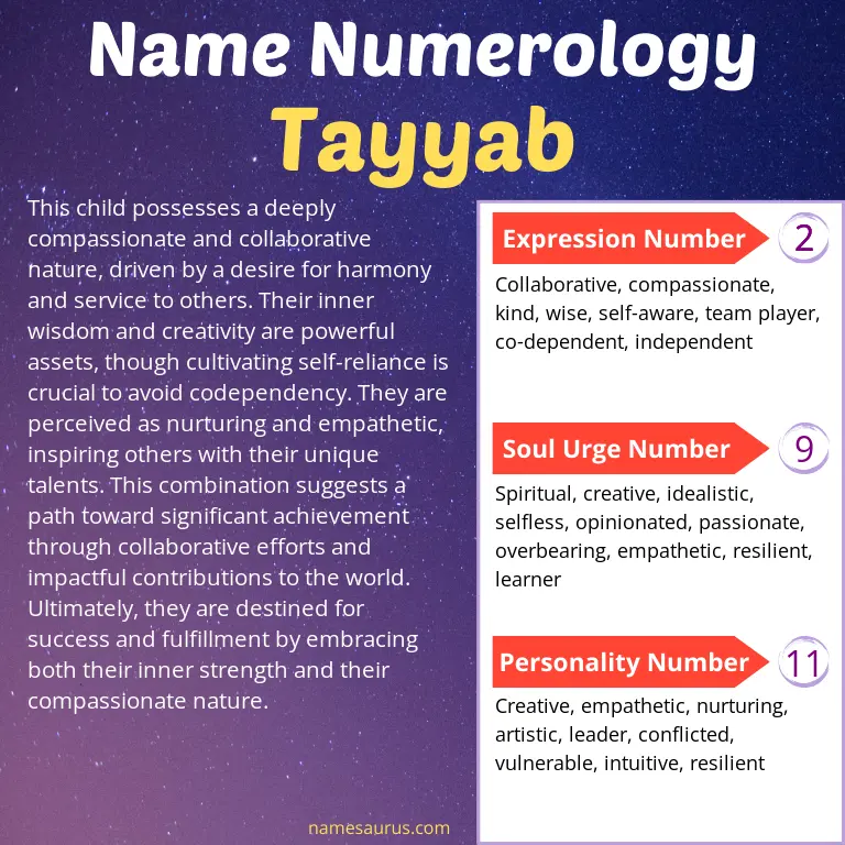 numerology of the name tayyab.