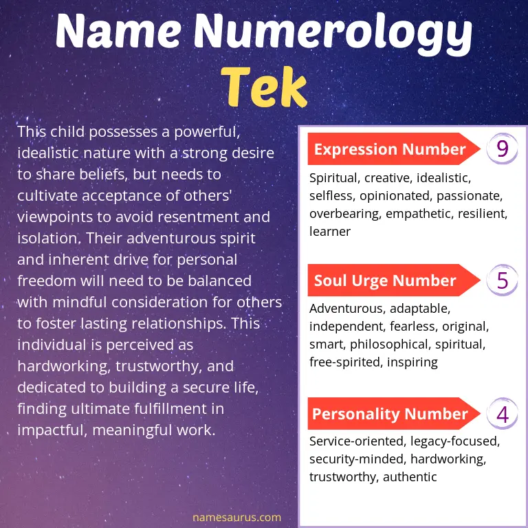 numerology of the name tek.