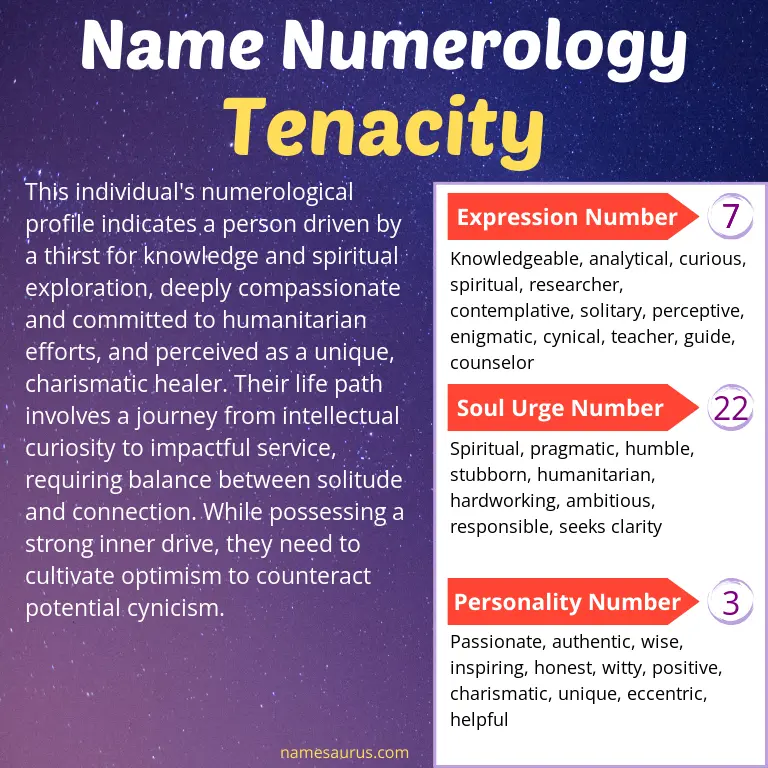 numerology of the name tenacity.