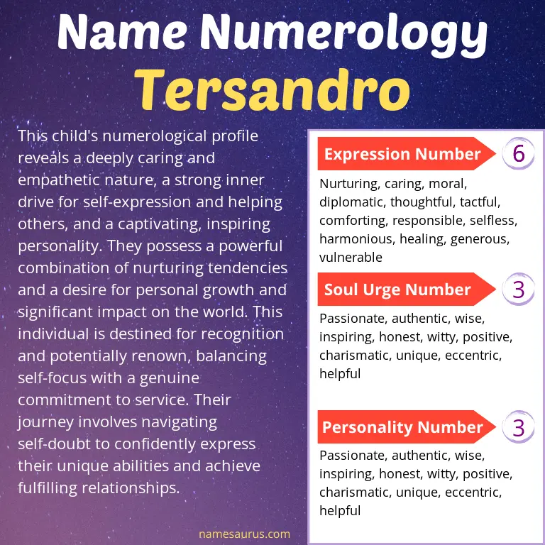 numerology of the name tersandro.