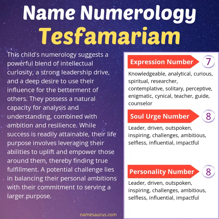 numerology of the name tesfamariam.