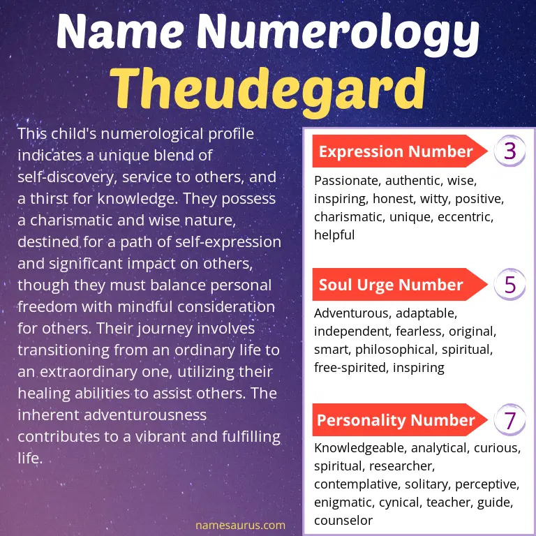 numerology of the name theudegard.