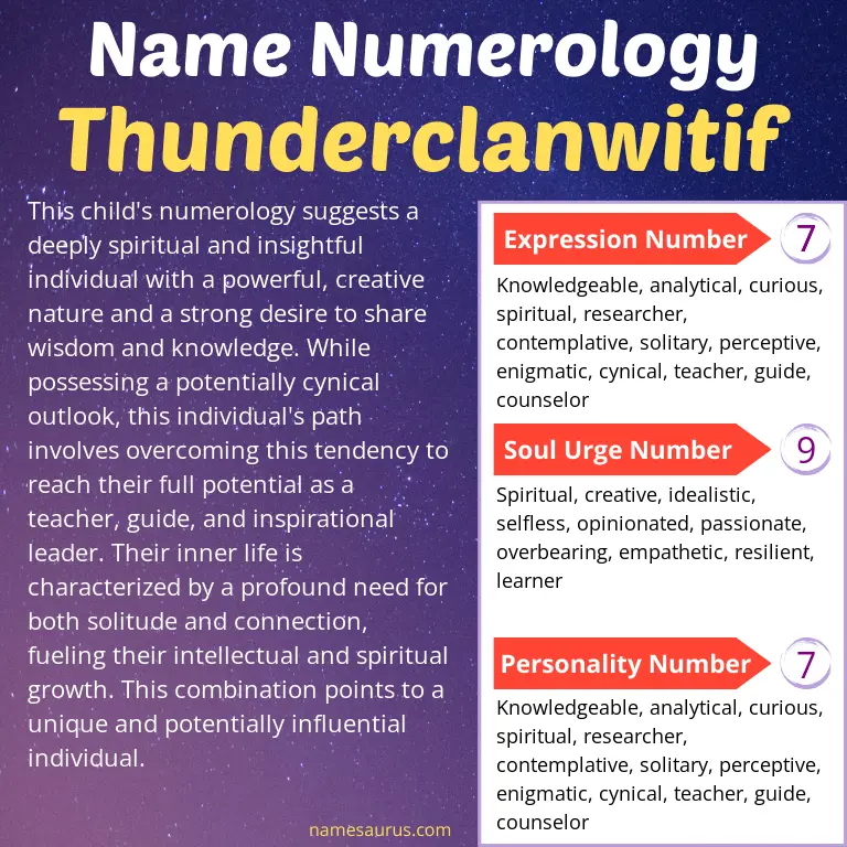 numerology of the name thunderclanwitif.