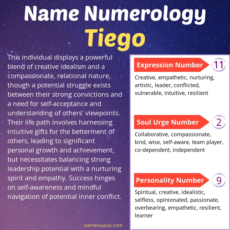numerology of the name tiego.