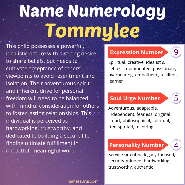 numerology of the name tommylee.