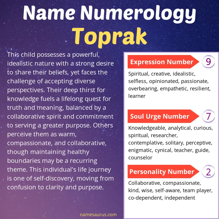 numerology of the name toprak.