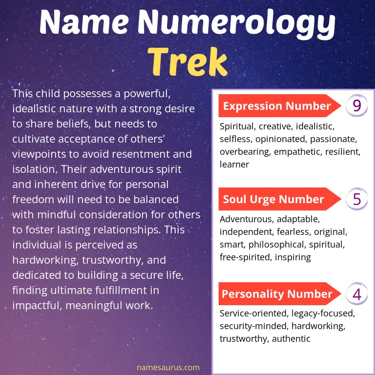 numerology of the name trek.