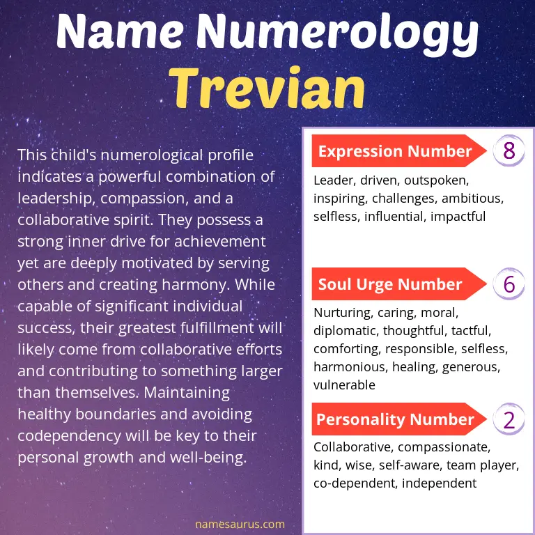 numerology of the name trevian.