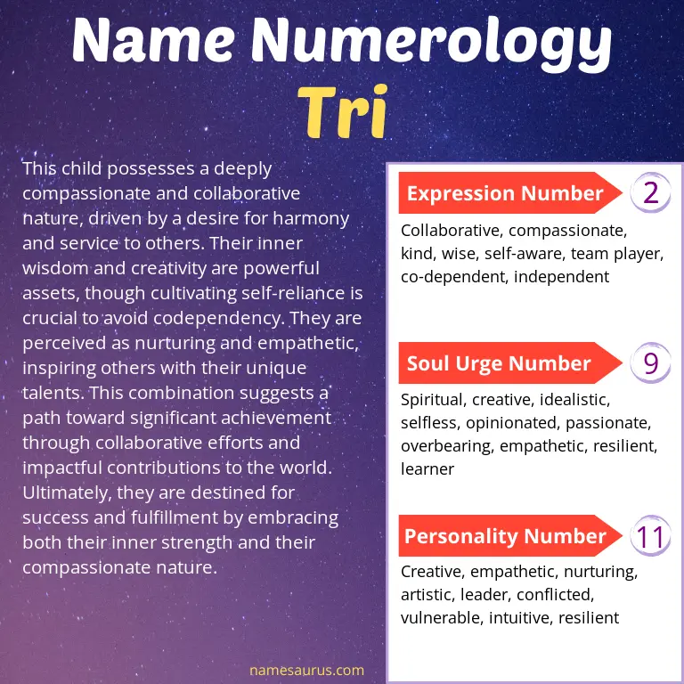 numerology of the name tri.