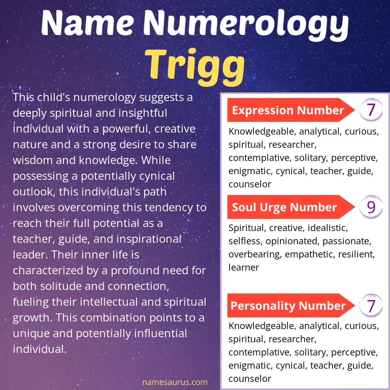 numerology of the name trigg.