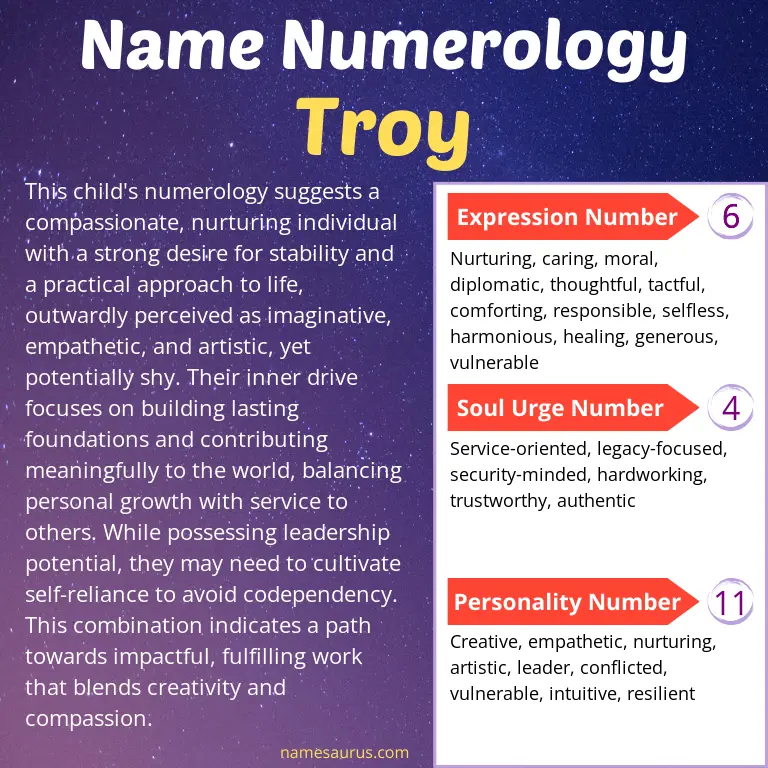 numerology of the name troy.