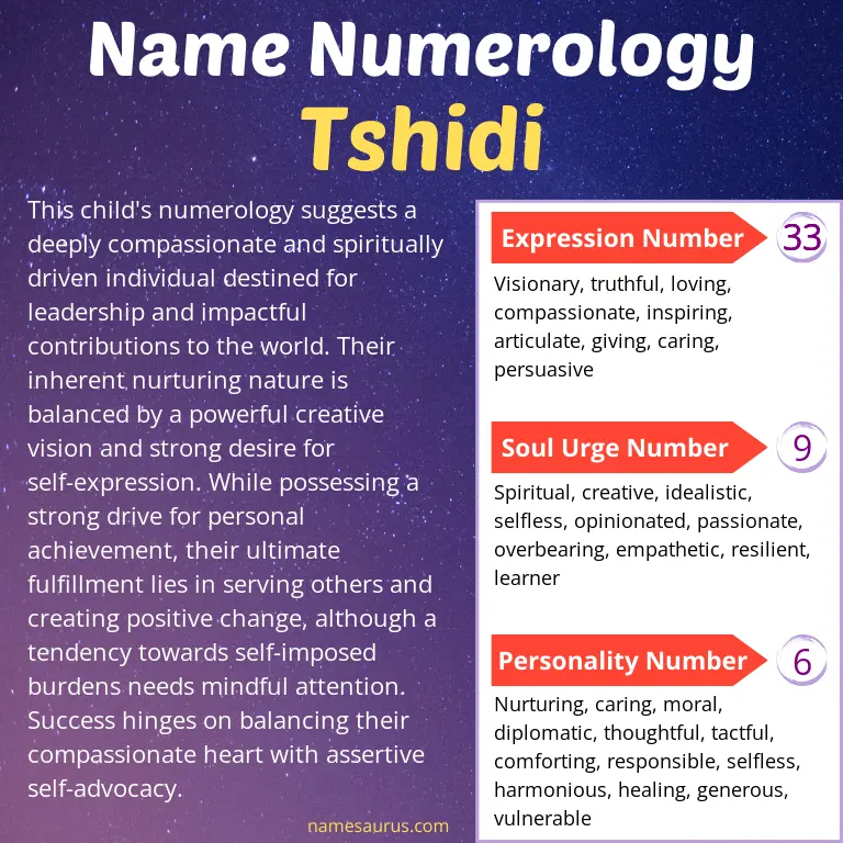 numerology of the name tshidi.
