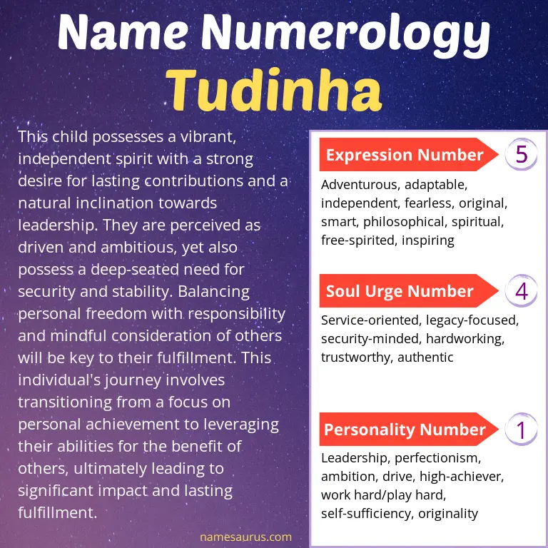 numerology of the name tudinha.