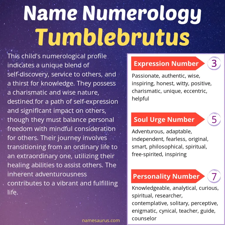 numerology of the name tumblebrutus.