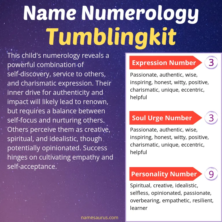 numerology of the name tumblingkit.