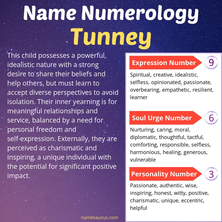 numerology of the name tunney.