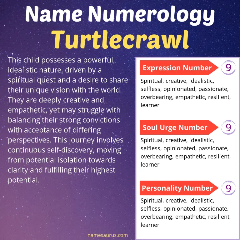 numerology of the name turtlecrawl.