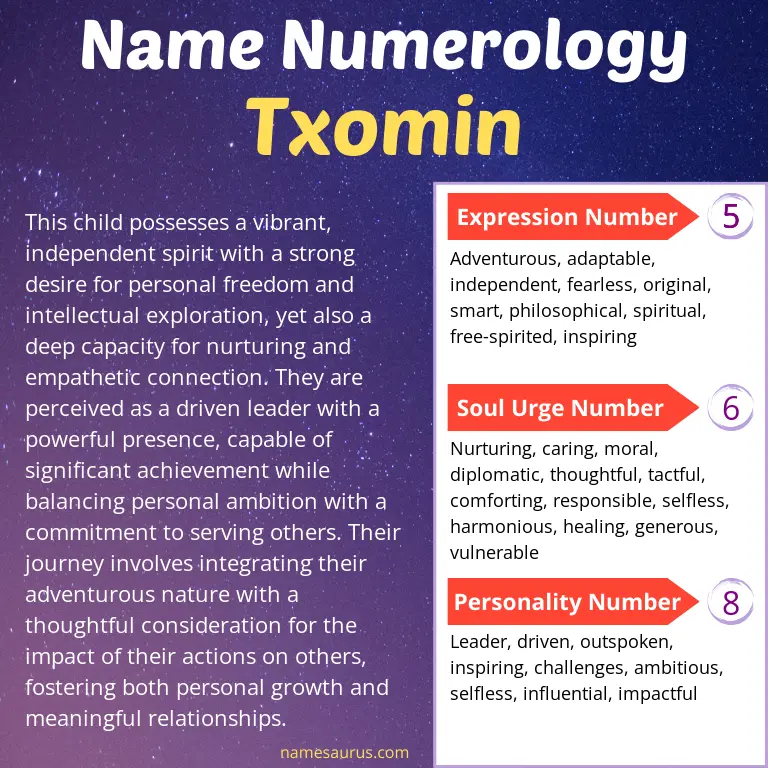 numerology of the name txomin.