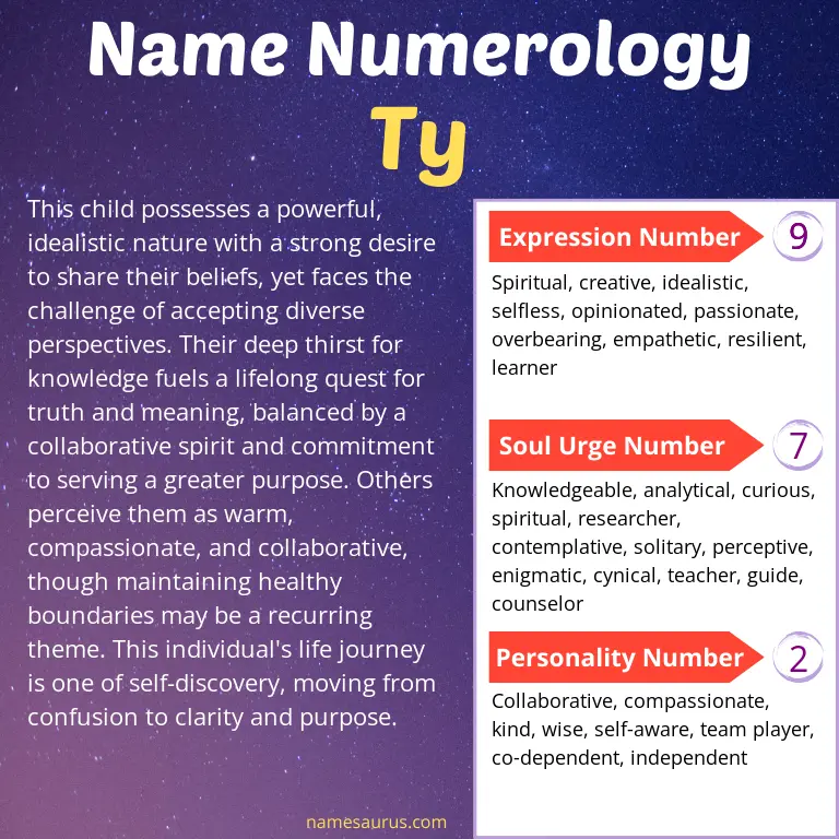 numerology of the name ty.