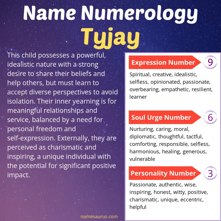 numerology of the name tyjay.