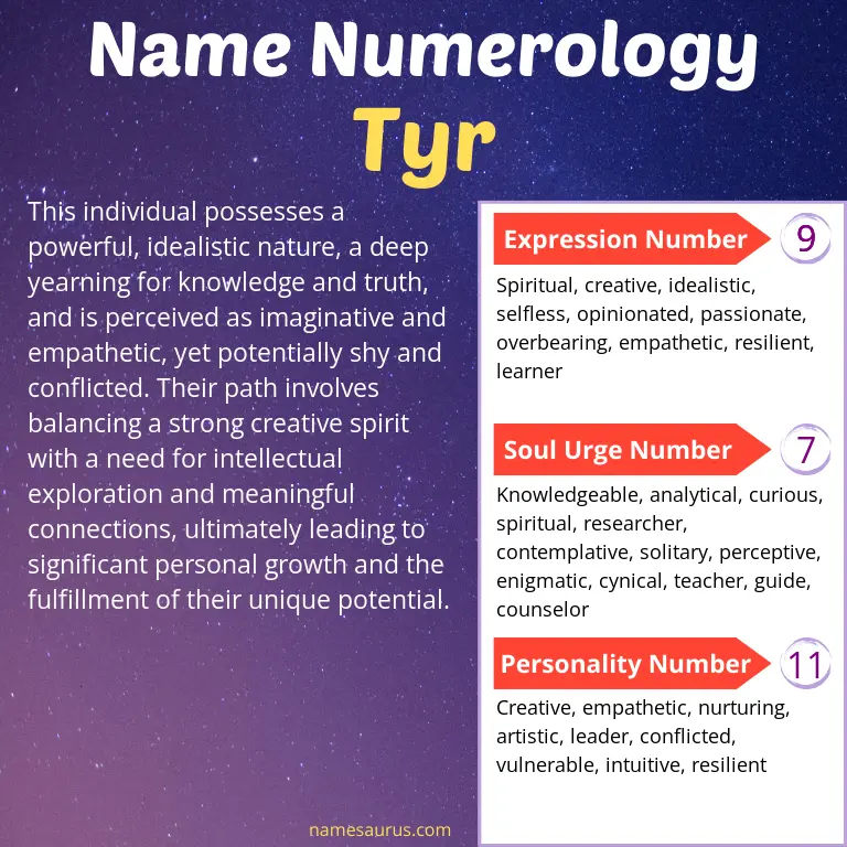 numerology of the name tyr.