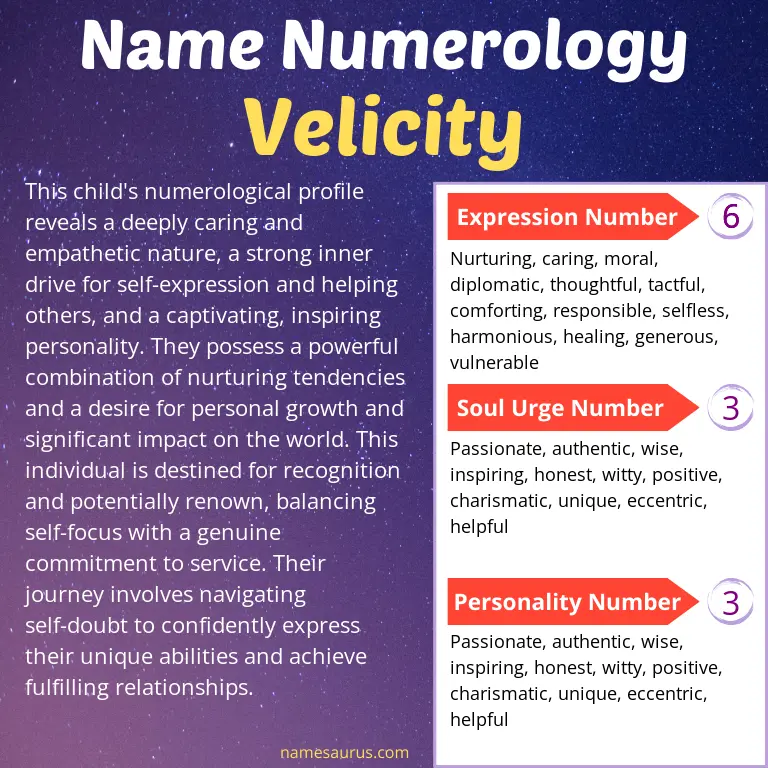 numerology of the name velicity.