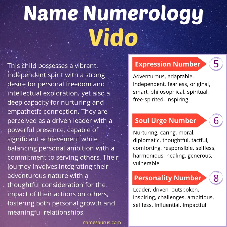 numerology of the name vido.